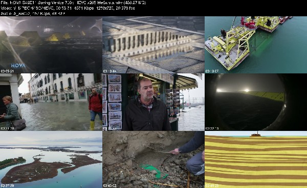 308822073_nova-s49e11-saving-venice-720p-hevc-x265-megusta.jpg