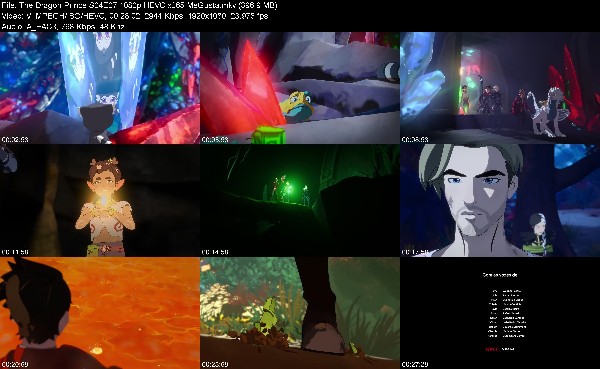 316342938_the-dragon-prince-s04e07-1080p-hevc-x265-megusta.jpg