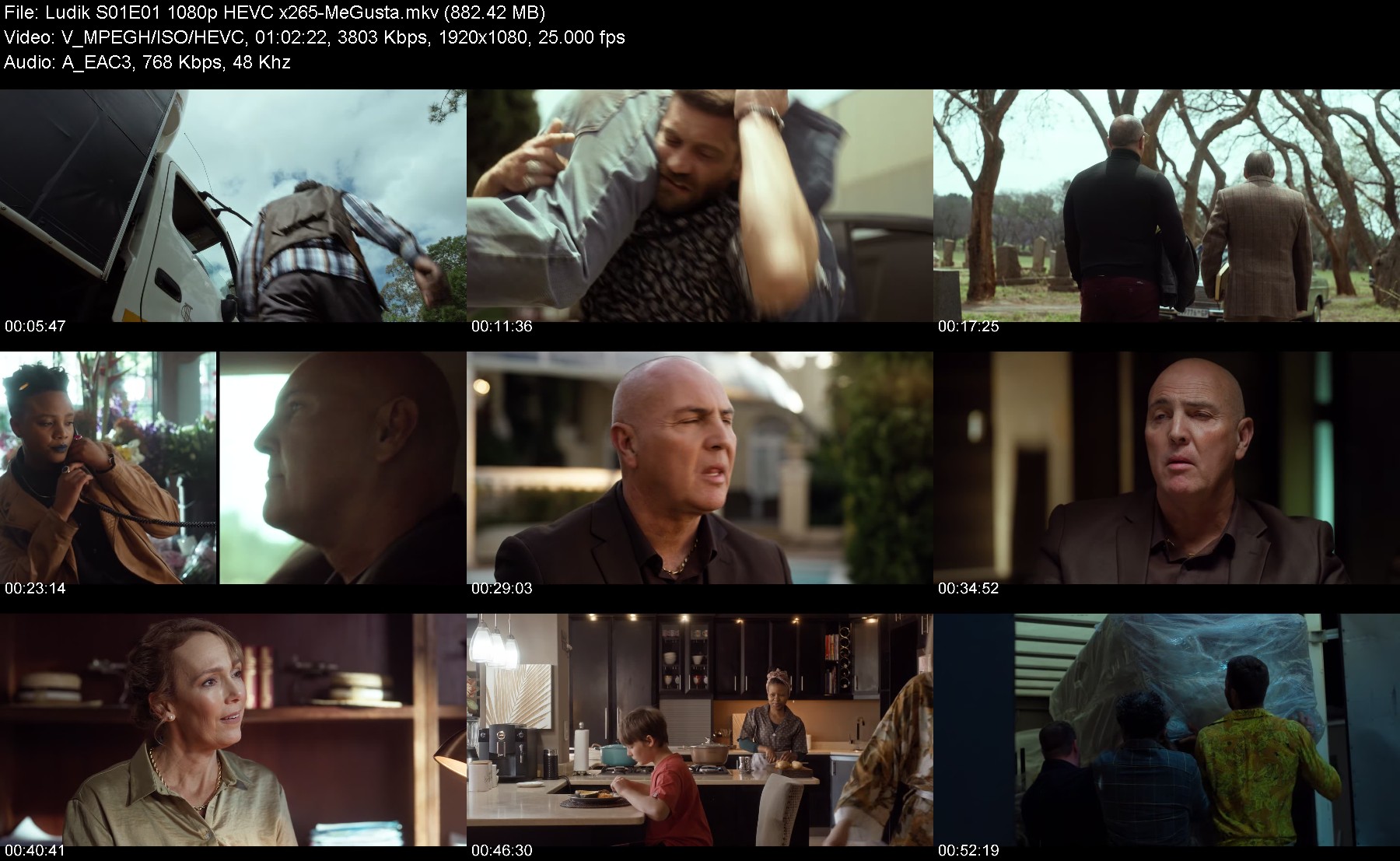 302379921_ludik-s01e01-1080p-hevc-x265-megusta.jpg