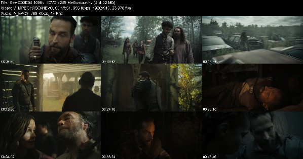 309091536_see-s03e06-1080p-hevc-x265-megusta.jpg
