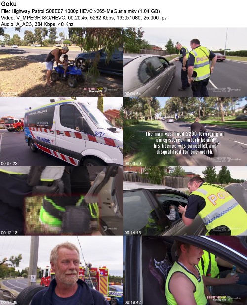 299596307_highway-patrol-s08e07-1080p-hevc-x265-megusta.jpg