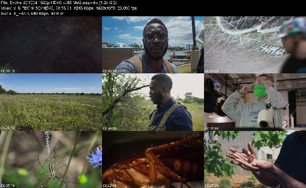 314678496_evolve-s01e04-1080p-hevc-x265-megusta.jpg