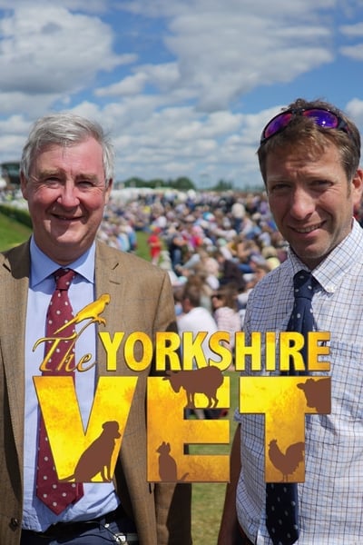 321306396_the-yorkshire-vet-s10e05-1080p-hevc-x265-megusta.jpg