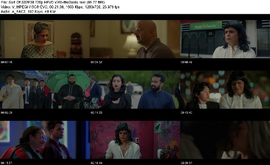 322596760_sort-of-s02e08-720p-hevc-x265-megusta.jpg