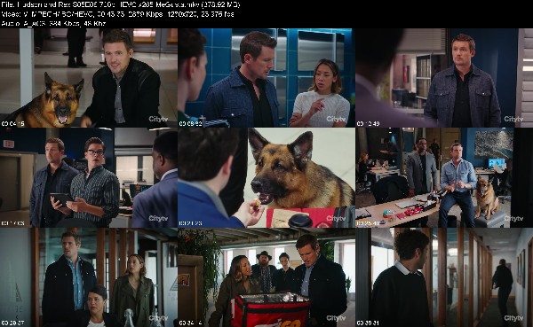 318894455_hudson-and-rex-s05e06-720p-hevc-x265-megusta.jpg