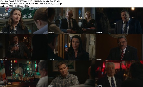 321924276_blue-bloods-s13e07-720p-hevc-x265-megusta.jpg