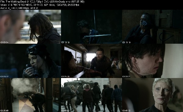 317047262_the-walking-dead-s11e23-720p-hevc-x265-megusta.jpg