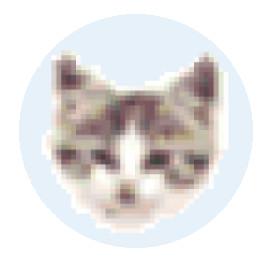 ddc68ae09d651342b384cde3859ce04c.jpeg