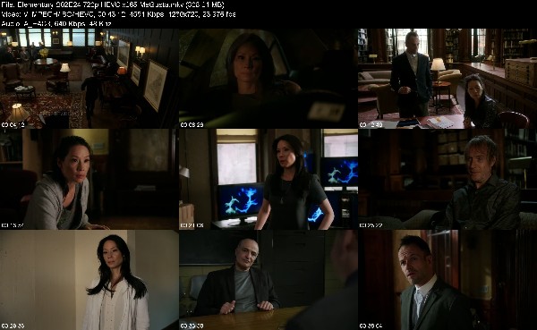 310796665_elementary-s02e24-720p-hevc-x265-megusta.jpg