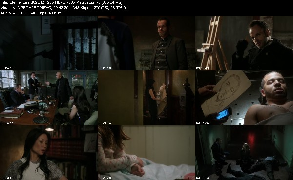 310789816_elementary-s02e12-720p-hevc-x265-megusta.jpg