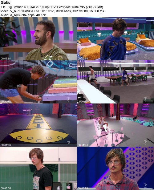 298002023_big-brother-au-s14e29-1080p-hevc-x265-megusta.jpg
