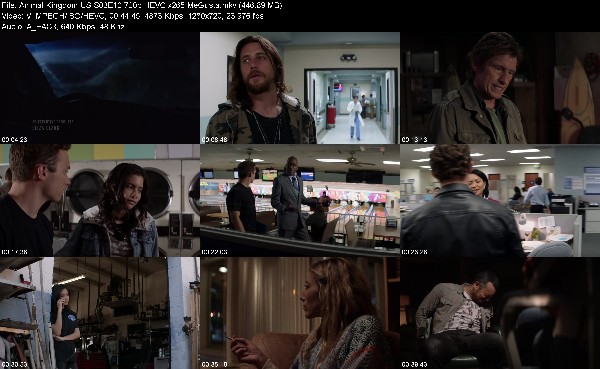 309363977_animal-kingdom-us-s03e10-720p-hevc-x265-megusta.jpg