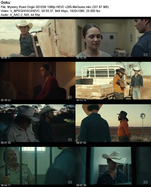 292757103_mystery-road-origin-s01e06-1080p-hevc-x265-megusta.jpg