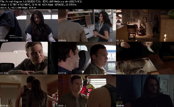 309361485_animal-kingdom-us-s03e03-720p-hevc-x265-megusta.jpg