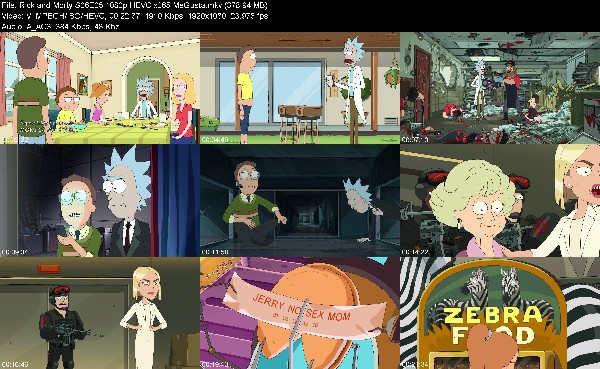 309628852_rick-and-morty-s06e05-1080p-hevc-x265-megusta.jpg