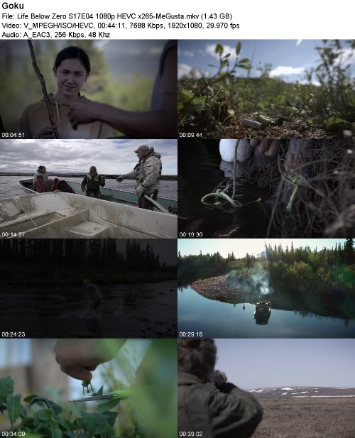 299991761_life-below-zero-s17e04-1080p-hevc-x265-megusta.jpg
