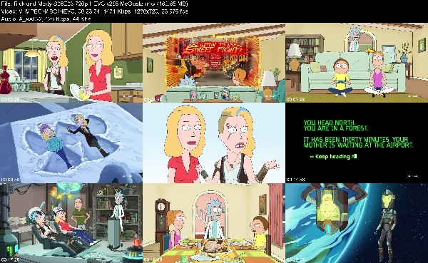 306870115_rick-and-morty-s06e03-720p-hevc-x265-megusta.jpg