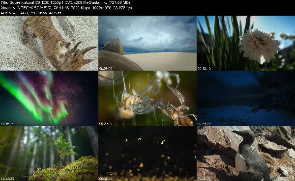 307323885_super-natural-s01e06-1080p-hevc-x265-megusta.jpg