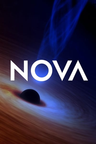 308822041_nova-s49e11-saving-venice-720p-hevc-x265-megusta.jpg