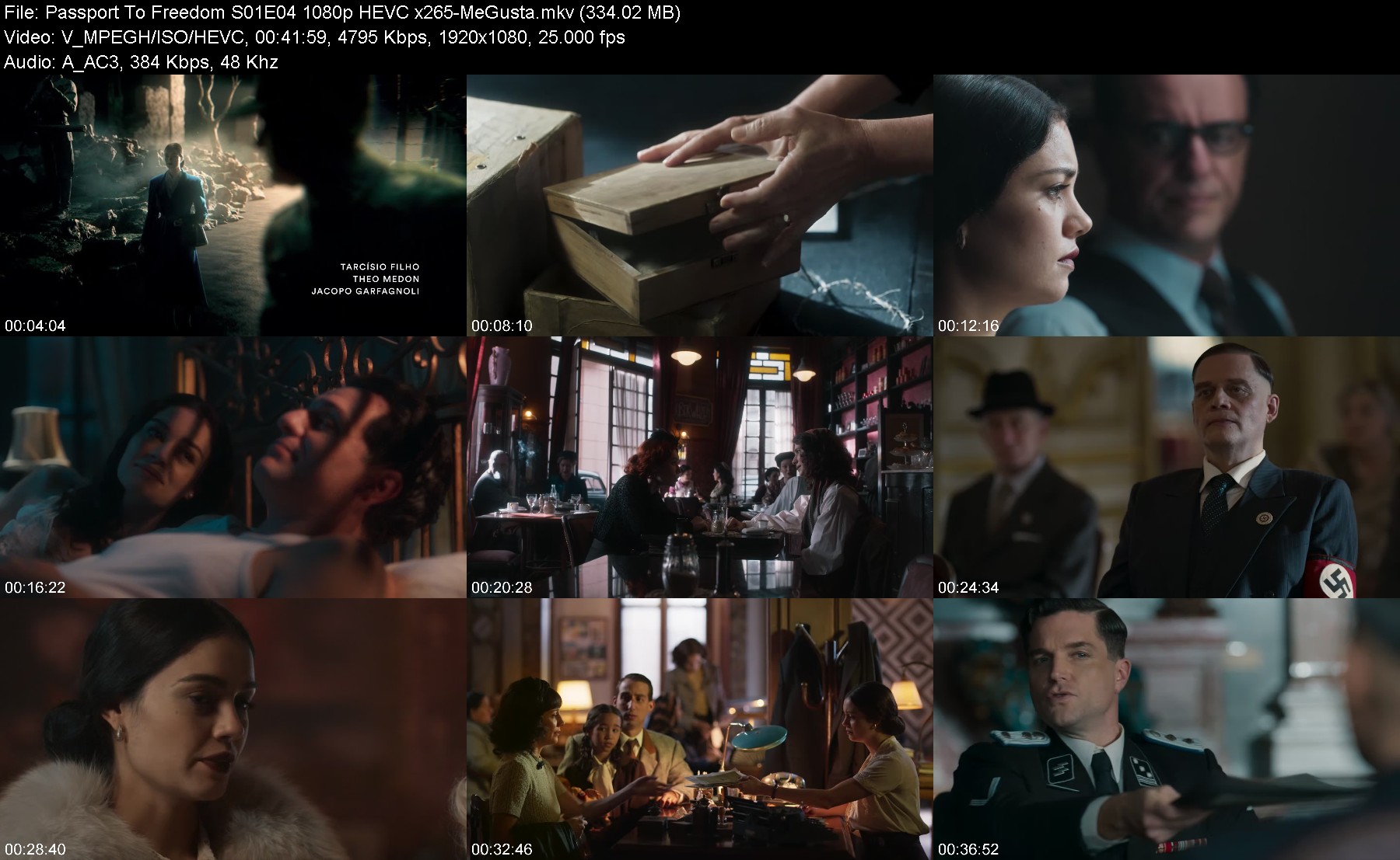 301947813_passport-to-freedom-s01e04-1080p-hevc-x265-megusta.jpg