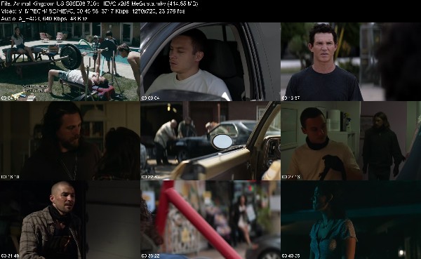 320354745_animal-kingdom-us-s06e08-720p-hevc-x265-megusta.jpg