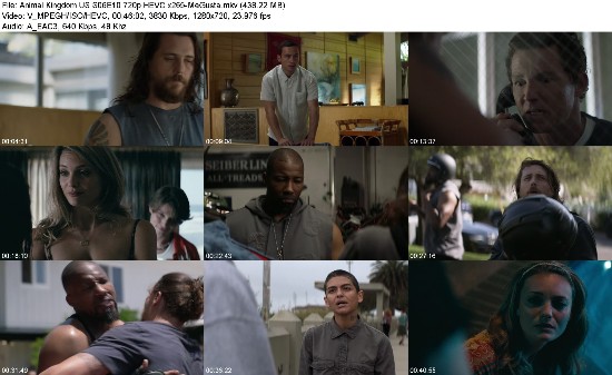 320352866_animal-kingdom-us-s06e10-720p-hevc-x265-megusta.jpg