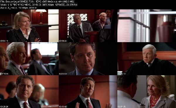 305491961_boston-legal-s04e20-720p-hevc-x265-megusta.jpg