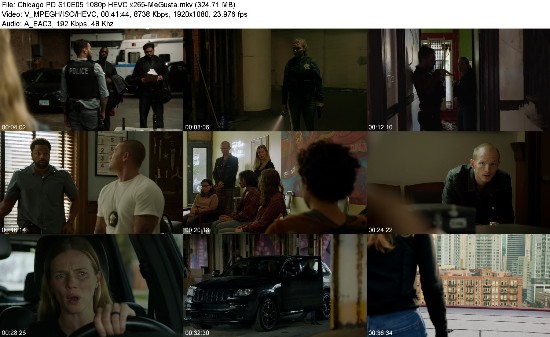 313622778_chicago-pd-s10e05-1080p-hevc-x265-megusta.jpg