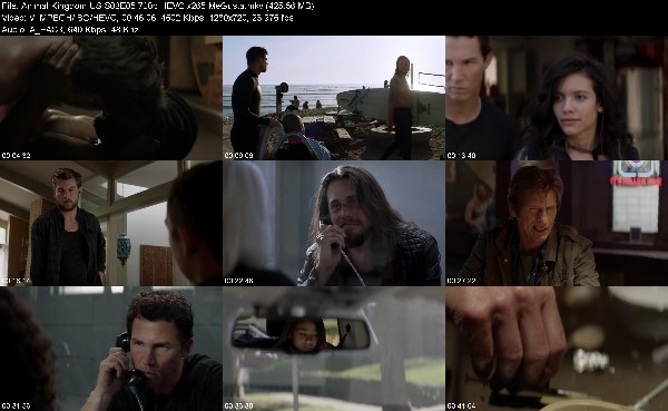 309362597_animal-kingdom-us-s03e05-720p-hevc-x265-megusta.jpg