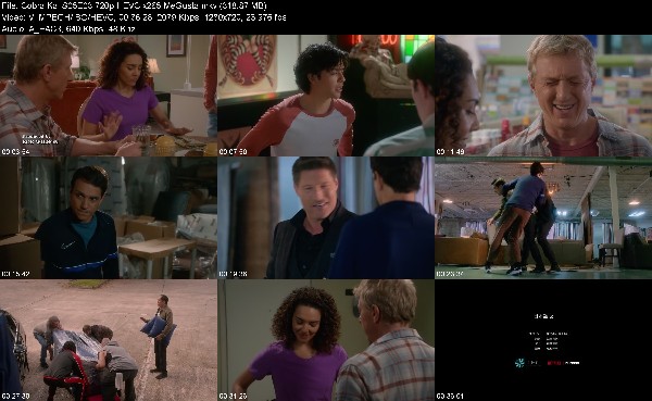 304829148_cobra-kai-s05e03-720p-hevc-x265-megusta.jpg