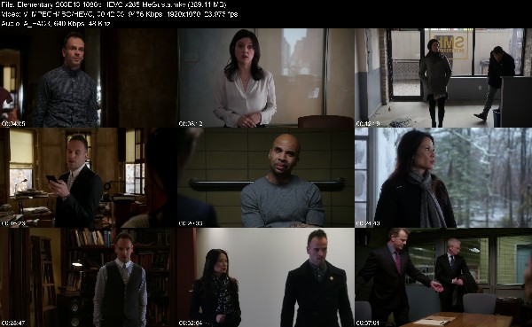 310807123_elementary-s03e13-1080p-hevc-x265-megusta.jpg