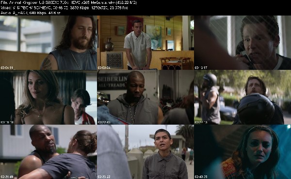 320353224_animal-kingdom-us-s06e10-720p-hevc-x265-megusta.jpg