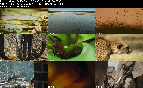 307274702_super-natural-s01e02-720p-hevc-x265-megusta.jpg