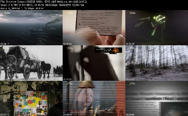 320232403_drain-the-oceans-s05e02-1080p-hevc-x265-megusta.jpg