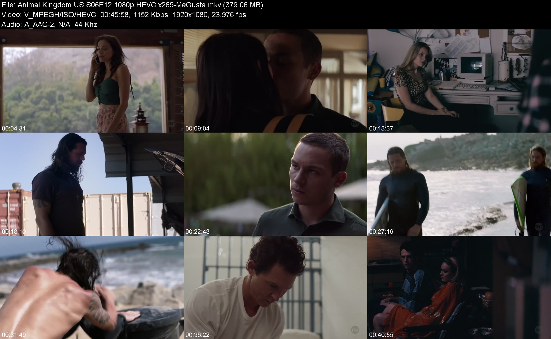 301825093_animal-kingdom-us-s06e12-1080p-hevc-x265-megusta.jpg