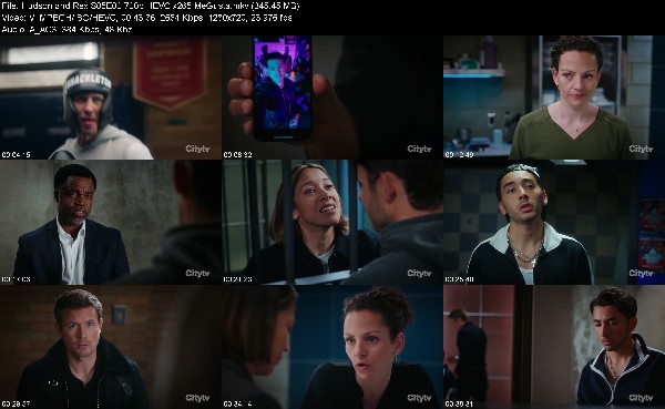 309642342_hudson-and-rex-s05e02-720p-hevc-x265-megusta.jpg