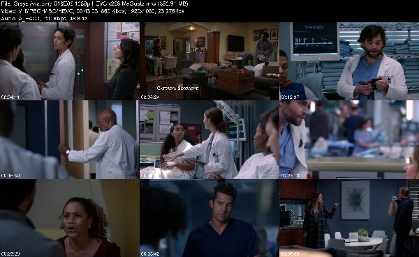 318244467_greys-anatomy-s19e06-1080p-hevc-x265-megusta.jpg