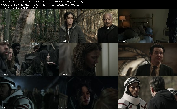 315524753_the-walking-dead-s11e22-1080p-hevc-x265-megusta.jpg