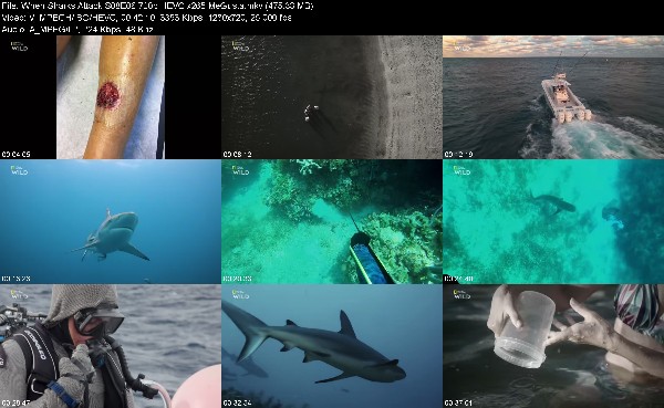 311080315_when-sharks-attack-s08e06-720p-hevc-x265-megusta.jpg
