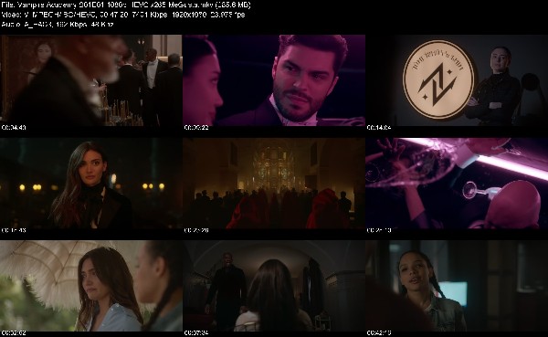 305963925_vampire-academy-s01e01-1080p-hevc-x265-megusta.jpg
