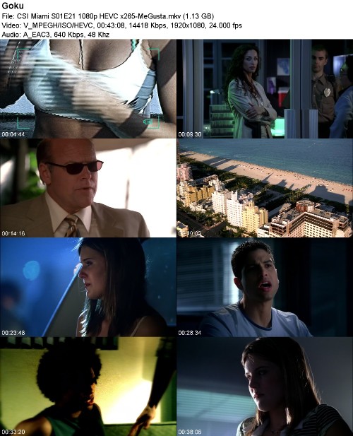 293173111_csi-miami-s01e21-1080p-hevc-x265-megusta.jpg