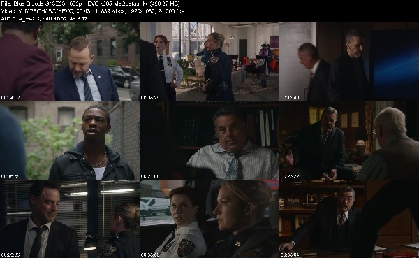 316897466_blue-bloods-s13e05-1080p-hevc-x265-megusta.jpg