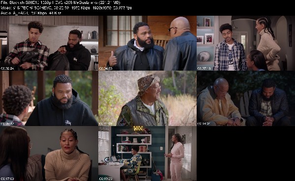 313708475_blackish-s08e12-1080p-hevc-x265-megusta.jpg