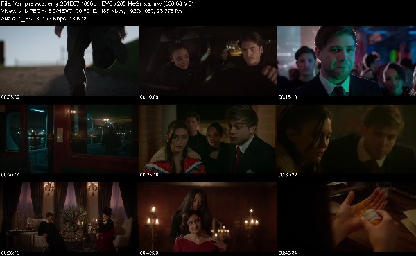 310410275_vampire-academy-s01e07-1080p-hevc-x265-megusta.jpg