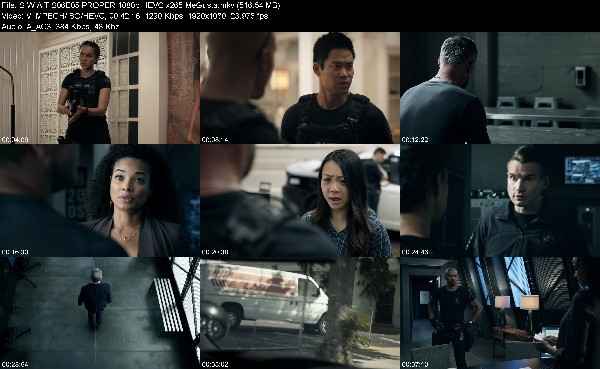316897009_s-w-a-t-s06e05-proper-1080p-hevc-x265-megusta.jpg