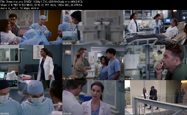 310785620_greys-anatomy-s19e01-1080p-hevc-x265-megusta.jpg