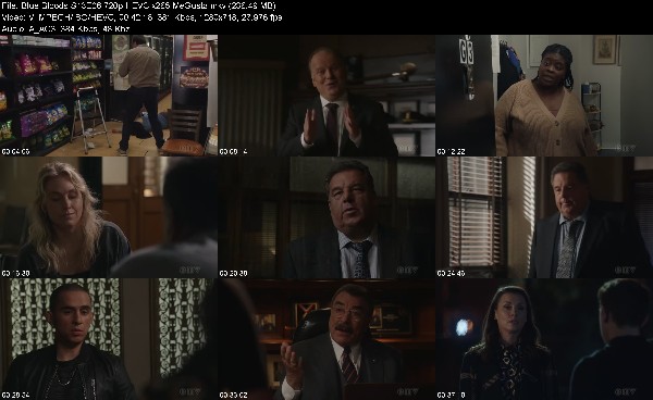 319567793_blue-bloods-s13e06-720p-hevc-x265-megusta.jpg