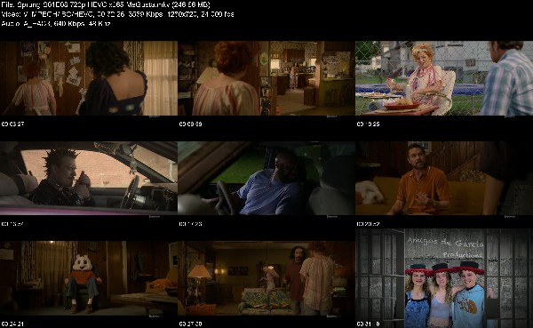 304719360_sprung-s01e08-720p-hevc-x265-megusta.jpg