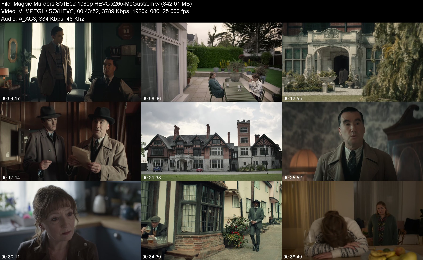301876236_magpie-murders-s01e02-1080p-hevc-x265-megusta.jpg