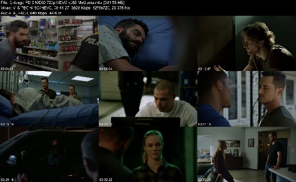 310591521_chicago-pd-s10e03-720p-hevc-x265-megusta.jpg